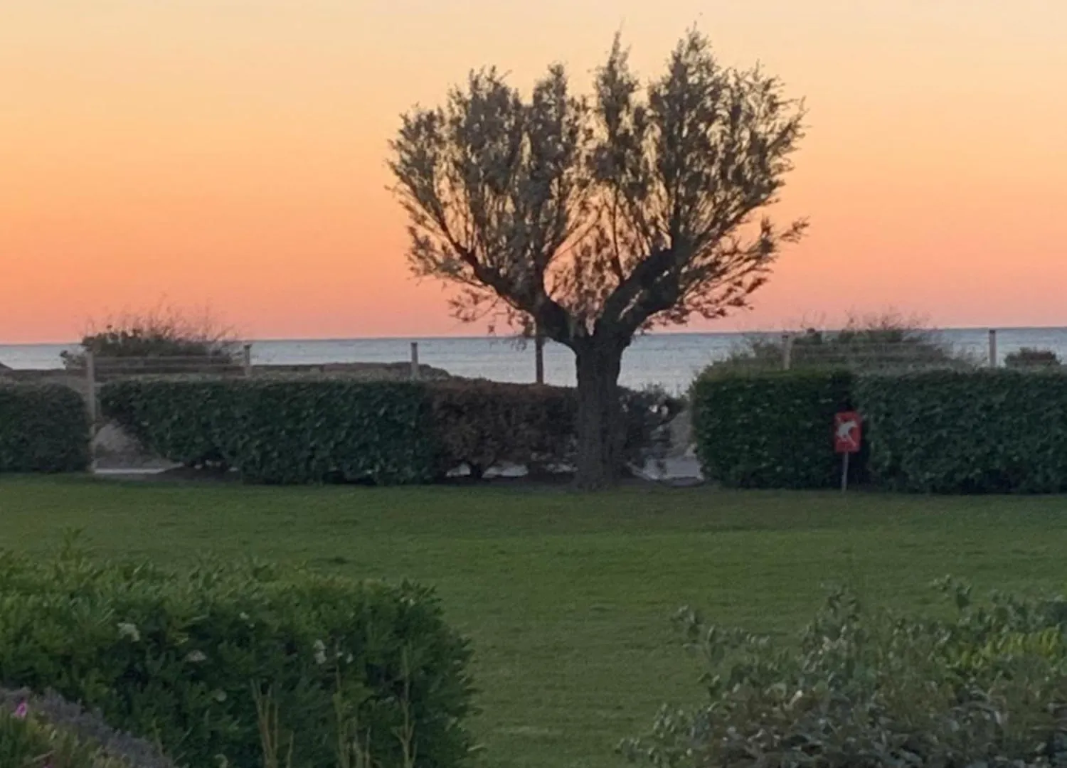 Un Reve A La Mer Saintes-Maries-de-la-Mer Apartment