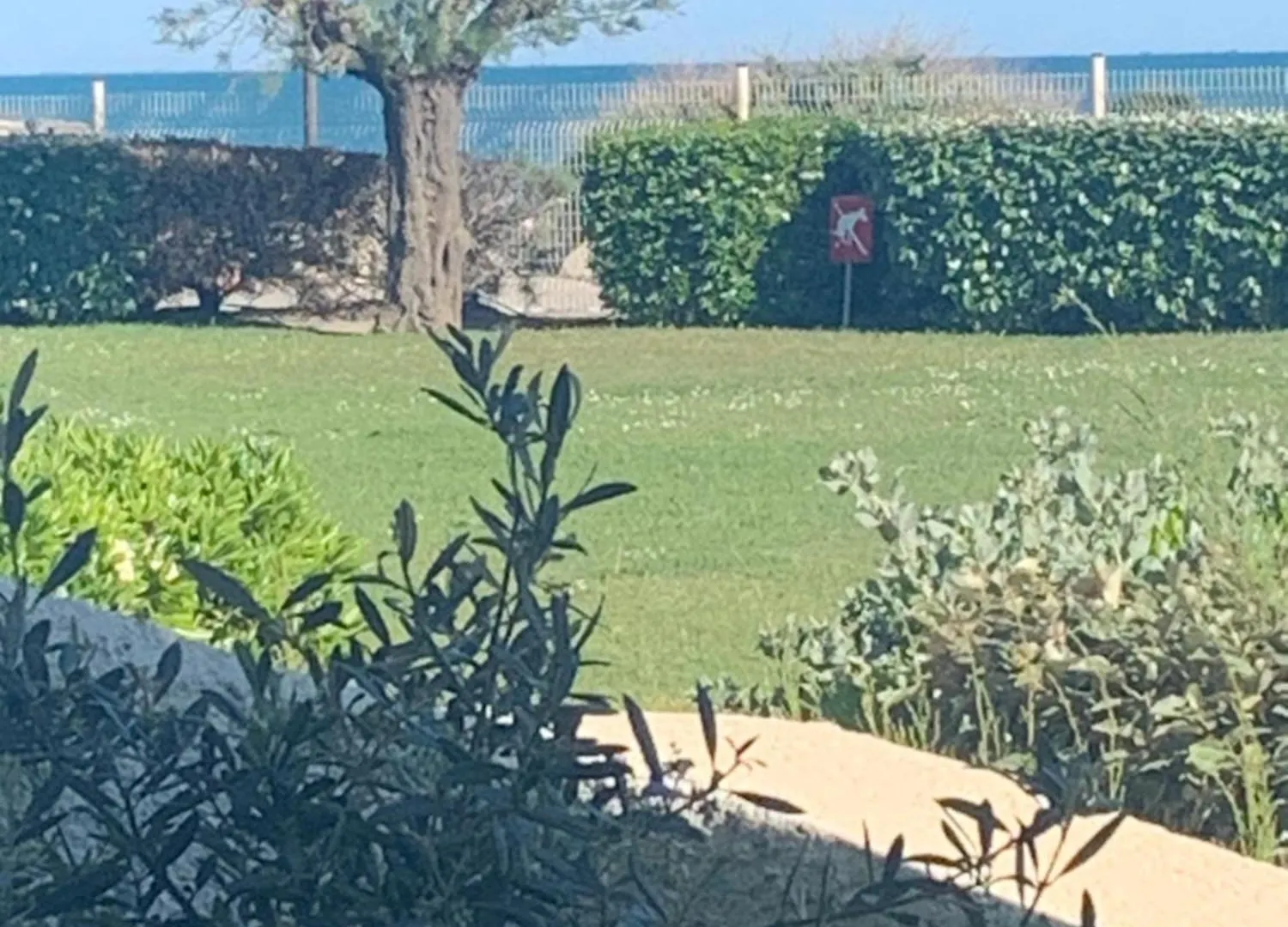 Apartment Un Reve A La Mer Saintes-Maries-de-la-Mer France